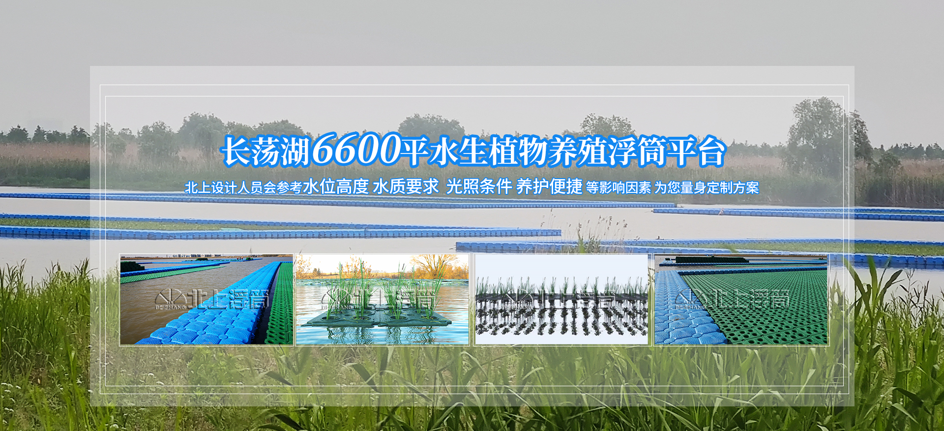 长荡湖6600平水生植物养殖浮筒平台
